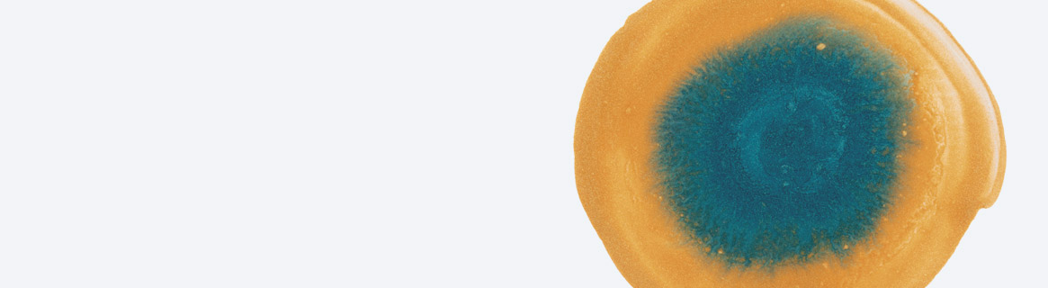 Kryolan Nebula Airbrush Makeup (Vivid) –